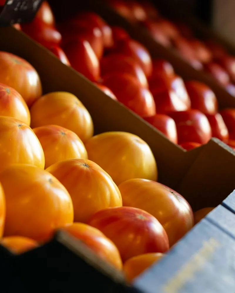 Mango de Azúcar 1 kg
